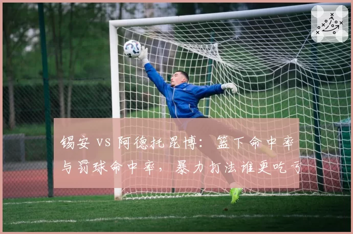 锡安 vs 阿德托昆博：篮下命中率与罚球命中率，暴力打法谁更吃亏？