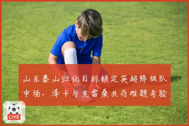 山东泰山归化目标锁定英超降级队中场，泽卡与克雷桑共存难题考验崔康熙战术智慧